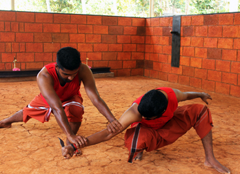 Kalarippayattu marmani